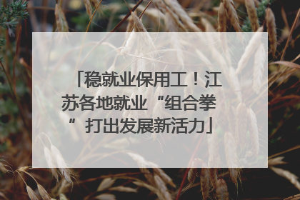 稳就业保用工！江苏各地就业“组合拳”打出发展新活力