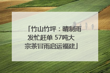 竹山竹坪：晴制雨发忙赶单 57吨大宗茶冒雨启运福建