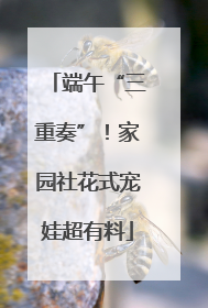 端午“三重奏”！家园社花式宠娃超有料