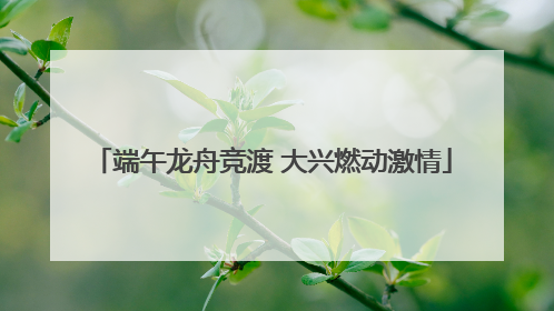 端午龙舟竞渡 大兴燃动激情