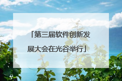 第三届软件创新发展大会在光谷举行