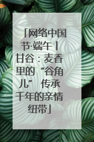 网络中国节·端午丨甘谷：麦香里的“谷角儿” 传承千年的亲情纽带