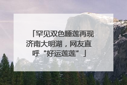 罕见双色睡莲再现济南大明湖，网友直呼“好运莲莲”