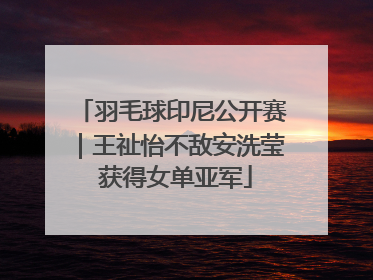 羽毛球印尼公开赛｜王祉怡不敌安洗莹 获得女单亚军