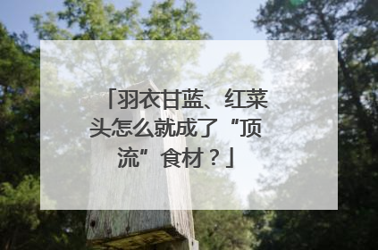 羽衣甘蓝、红菜头怎么就成了“顶流”食材？
