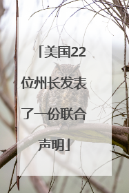 美国22位州长发表了一份联合声明