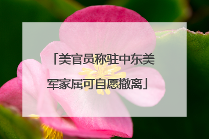美官员称驻中东美军家属可自愿撤离