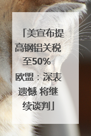 美宣布提高钢铝关税至50% 欧盟：深表遗憾 将继续谈判