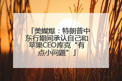美媒爆：特朗普中东行期间承认自己和苹果CEO库克“有点小问题”