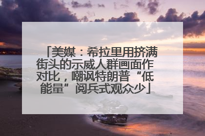 美媒：希拉里用挤满街头的示威人群画面作对比，嘲讽特朗普“低能量”阅兵式观众少