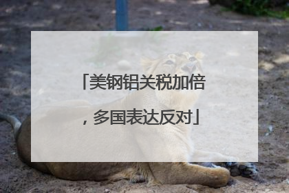 美钢铝关税加倍，多国表达反对