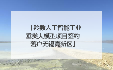 羚数人工智能工业垂类大模型项目签约落户无锡高新区