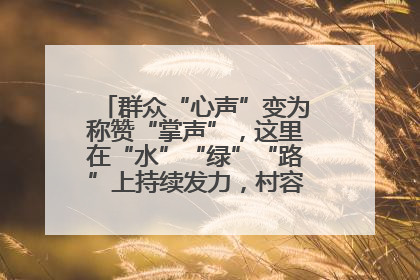 群众“心声”变为称赞“掌声”，这里在“水”“绿”“路”上持续发力，村容村貌焕然一新