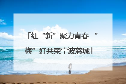 红“新”聚力青春 “梅”好共荣宁波慈城