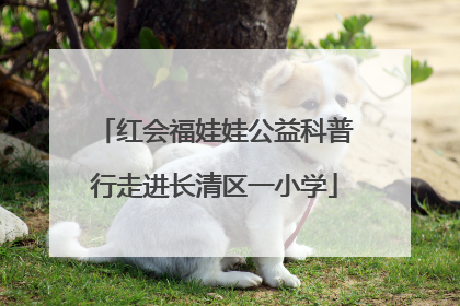 红会福娃娃公益科普行走进长清区一小学
