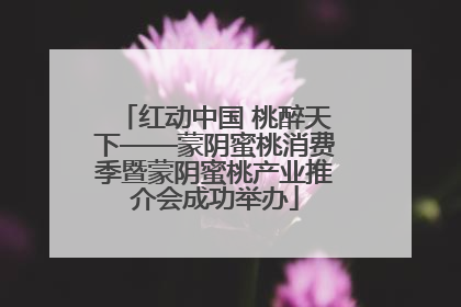 红动中国 桃醉天下——蒙阴蜜桃消费季暨蒙阴蜜桃产业推介会成功举办