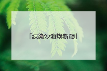 绿染沙海焕新颜