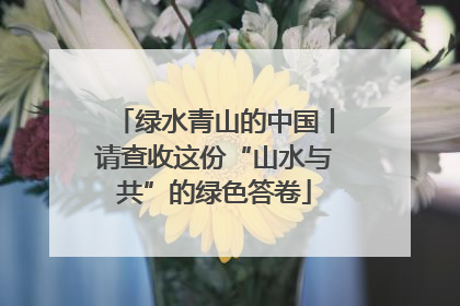 绿水青山的中国丨请查收这份“山水与共”的绿色答卷