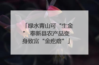 绿水青山可“生金” 奉新县农产品变身致富“金疙瘩”