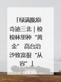 绿满陇原·奇迹三北｜梭梭林里种“黄金” 高台治沙致富很“从容”