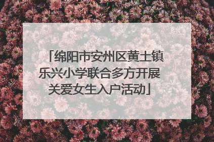 绵阳市安州区黄土镇乐兴小学联合多方开展关爱女生入户活动