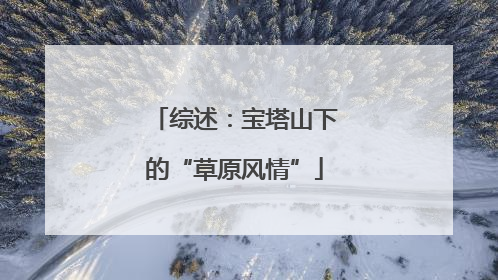 综述：宝塔山下的“草原风情”
