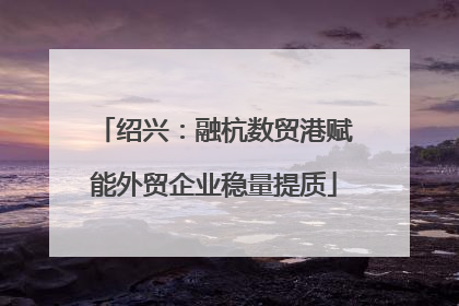 绍兴：融杭数贸港赋能外贸企业稳量提质