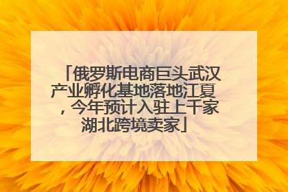 俄罗斯电商巨头武汉产业孵化基地落地江夏，今年预计入驻上千家湖北跨境卖家