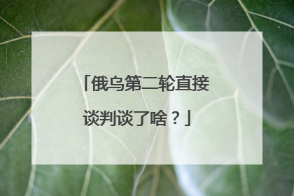 俄乌第二轮直接谈判谈了啥？