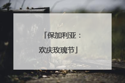 保加利亚：欢庆玫瑰节
