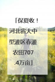 保夏收！河北省大中型灌区春灌农田707.4万亩