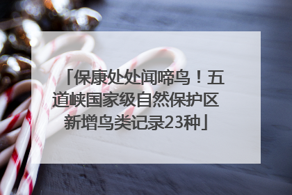 保康处处闻啼鸟！五道峡国家级自然保护区新增鸟类记录23种