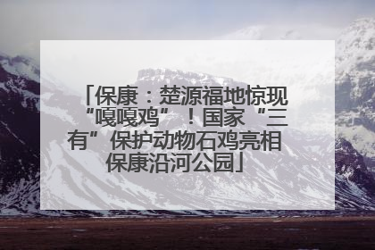 保康：楚源福地惊现“嘎嘎鸡”！国家“三有”保护动物石鸡亮相保康沿河公园