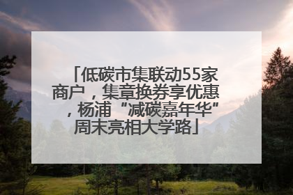低碳市集联动55家商户，集章换券享优惠，杨浦“减碳嘉年华”周末亮相大学路