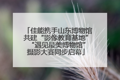 佳能携手山东博物馆共建“影像教育基地” “遇见最美博物馆”摄影大赛同步启幕