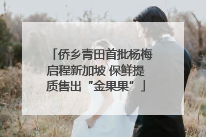 侨乡青田首批杨梅启程新加坡 保鲜提质售出“金果果”