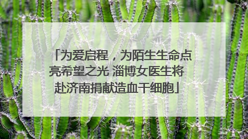 为爱启程，为陌生生命点亮希望之光 淄博女医生将赴济南捐献造血干细胞