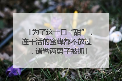 为了这一口“甜”，连干活的蜜蜂都不放过，诸暨两男子被抓
