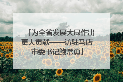 为全省发展大局作出更大贡献——访驻马店市委书记鲍常勇