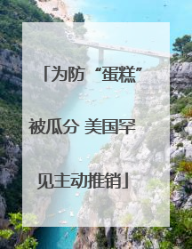 为防“蛋糕”被瓜分 美国罕见主动推销