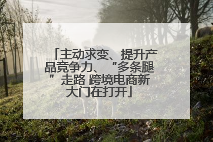 主动求变、提升产品竞争力、“多条腿”走路 跨境电商新大门在打开