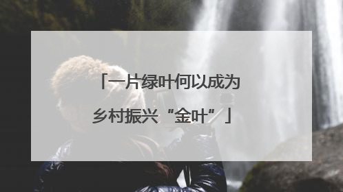 一片绿叶何以成为乡村振兴“金叶”