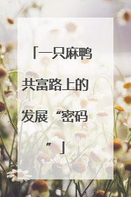 一只麻鸭共富路上的发展“密码”