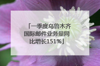 一季度乌鲁木齐国际邮件业务量同比增长151%
