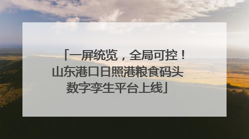 一屏统览，全局可控！山东港口日照港粮食码头数字孪生平台上线