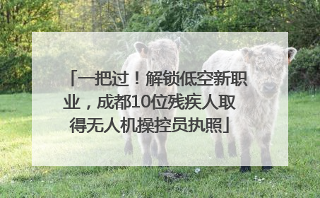 一把过！解锁低空新职业，成都10位残疾人取得无人机操控员执照