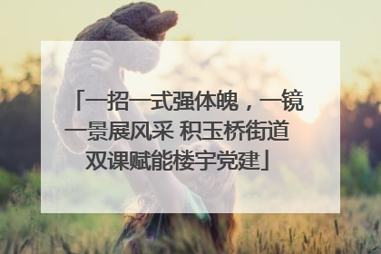 一招一式强体魄，一镜一景展风采 积玉桥街道双课赋能楼宇党建