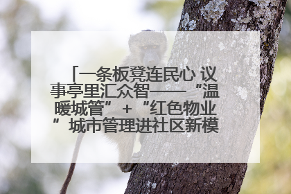 一条板凳连民心 议事亭里汇众智——“温暖城管”+“红色物业”城市管理进社区新模式绘就城市管理社区治理新画卷