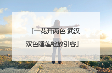 一花开两色 武汉双色睡莲绽放引客
