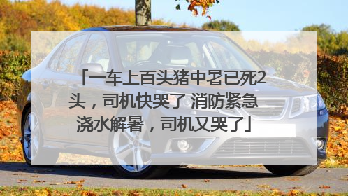 一车上百头猪中暑已死2头，司机快哭了 消防紧急浇水解暑，司机又哭了